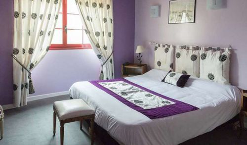 Hotel La Cognette A 25 Kilometres De Chateauroux Et 30 Kilometres De Bourges 3*